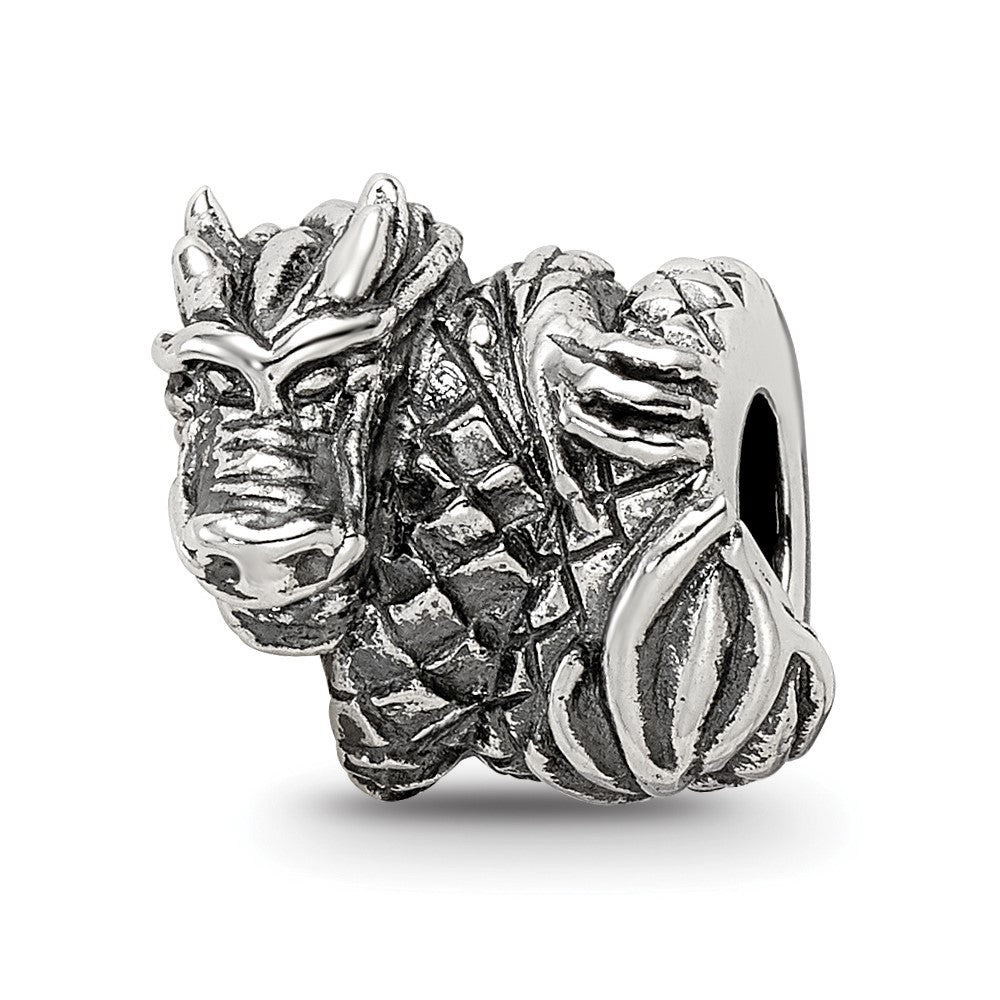 Sterling Silver Reflections Dragon Bead