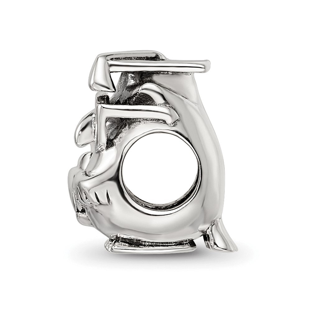 Sterling Silver Reflections Graduation Owl Bead