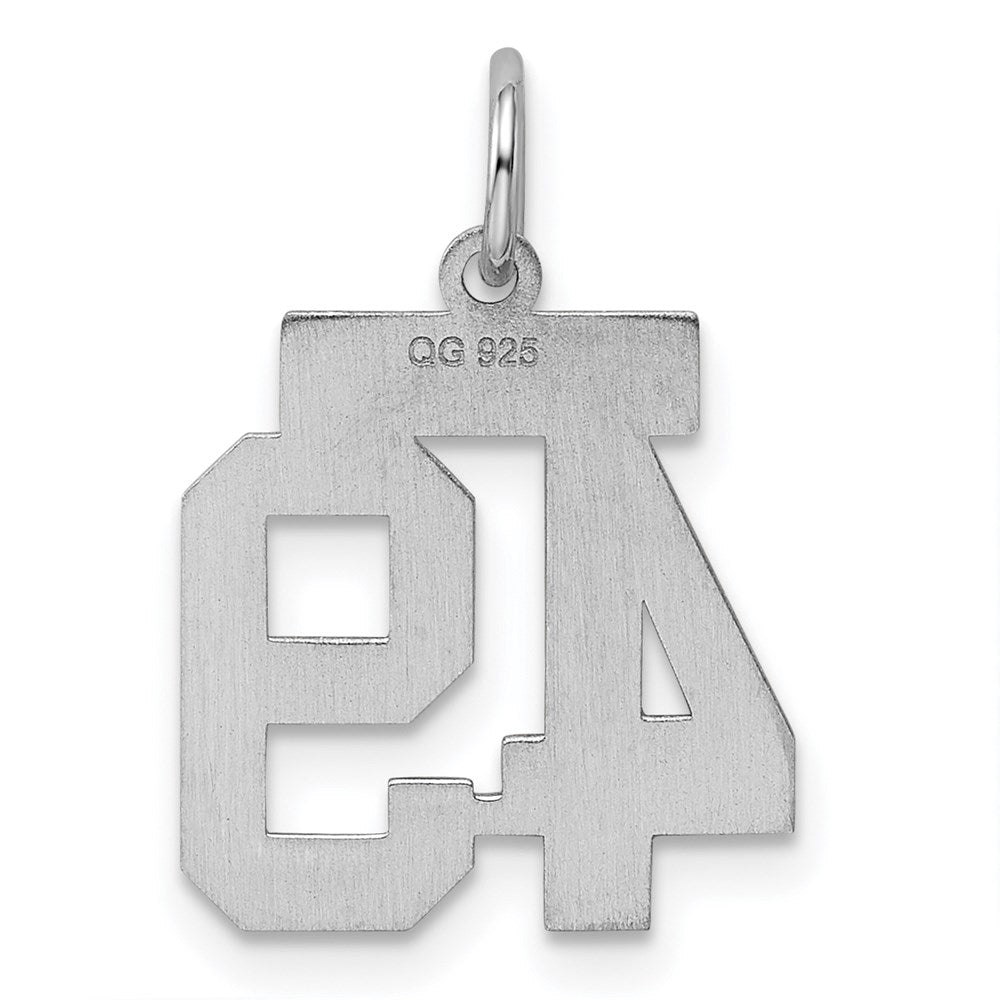 Sterling Silver/Rhodium-plated Polished Number 49 Charm