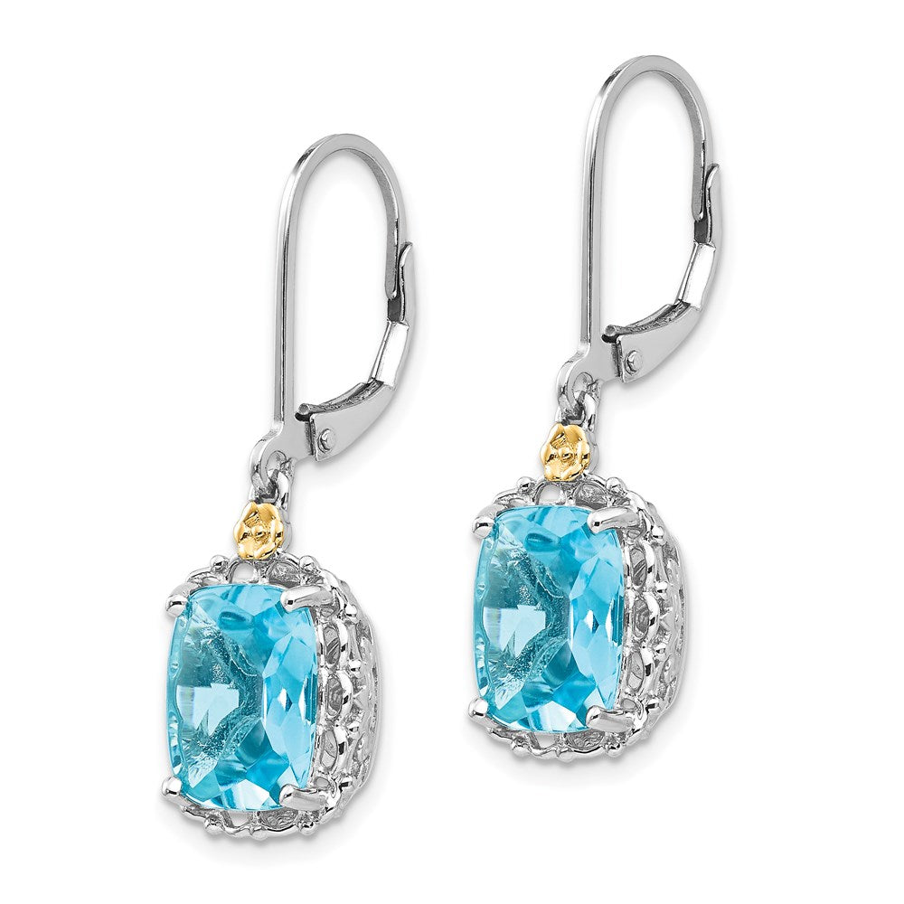 Shey Couture Sterling Silver Rhodium-plated with 14K Accent Recangular Blue Topaz Leverback Dangle Earrings