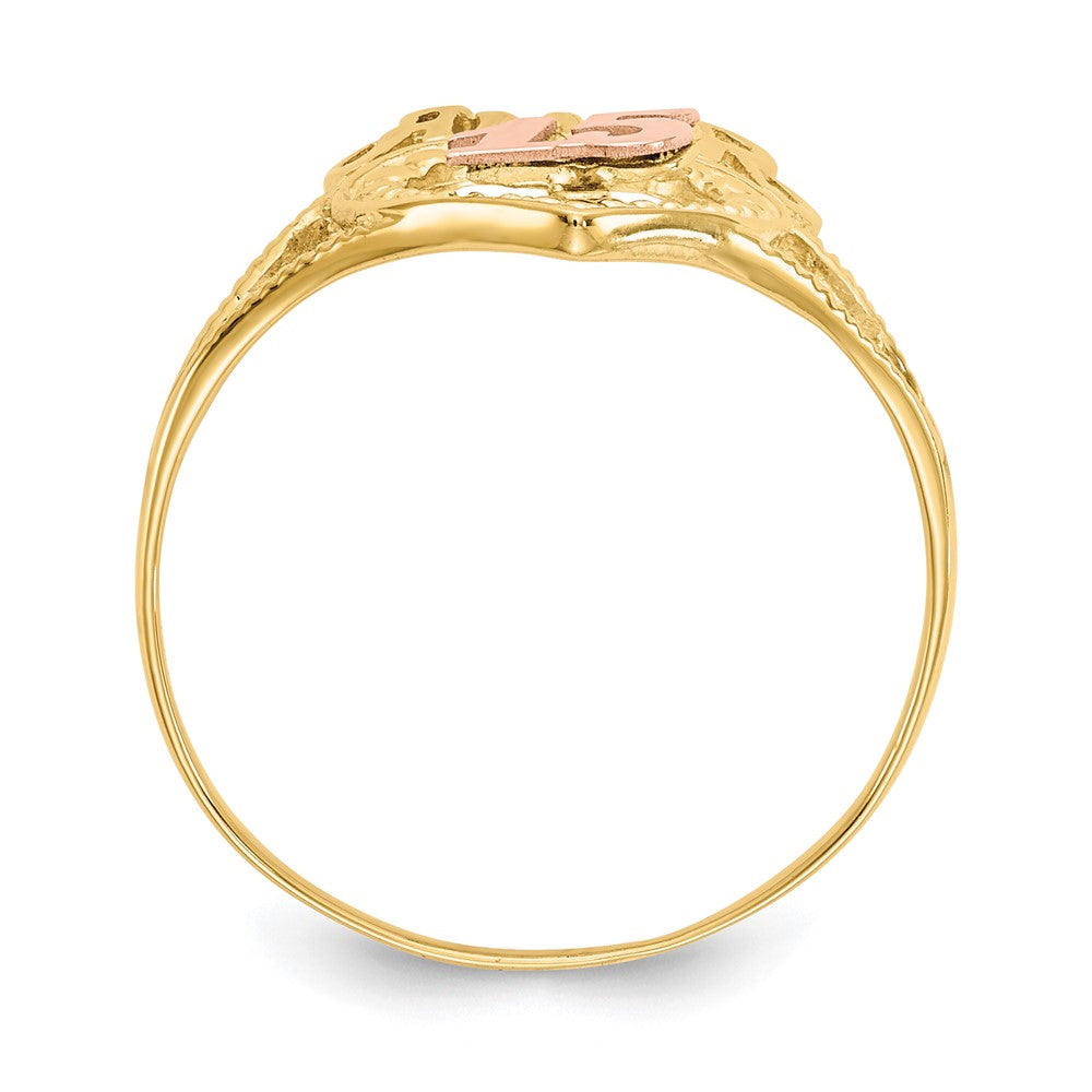 14k Two-Tone Amor 15 Heart Ring