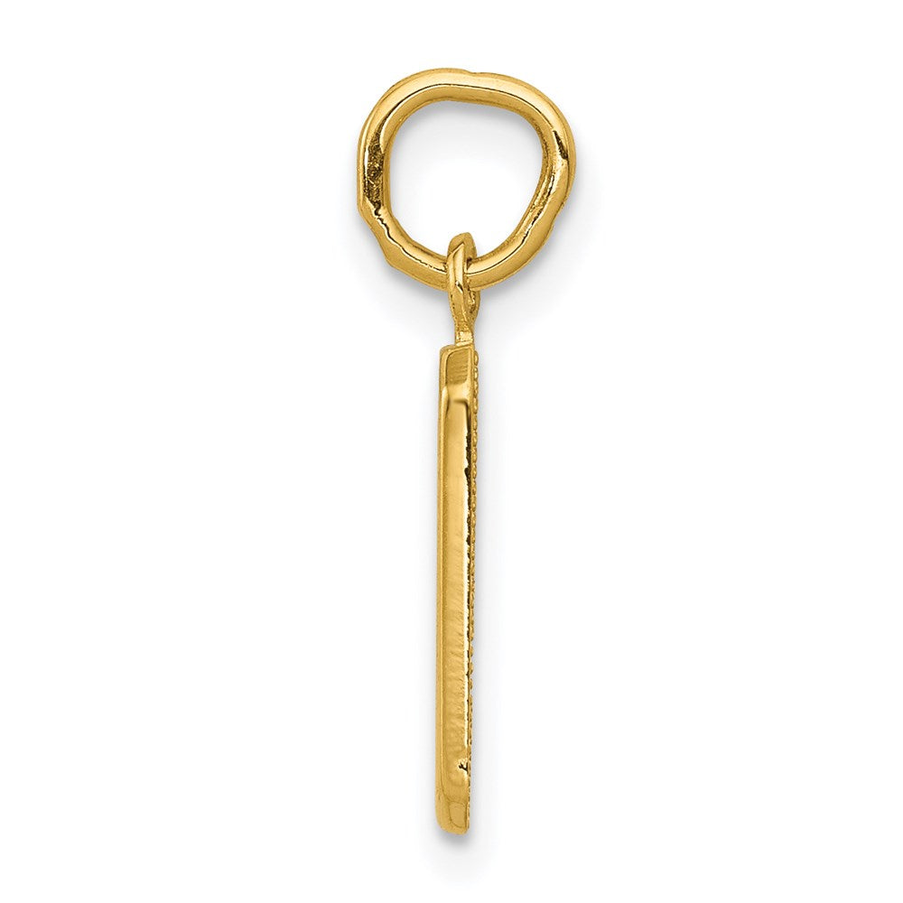 14k Small Polished Number 9 Charm