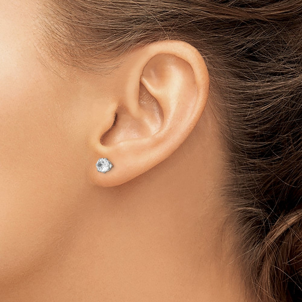 Chisel Stainless Steel Polished 5mm Round CZ Stud Post Earrings