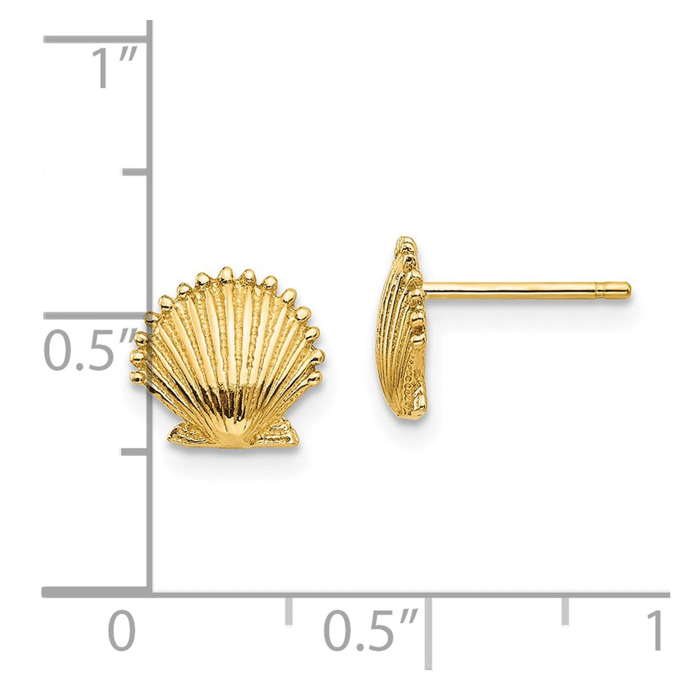14k Scallop Shell Post Earrings