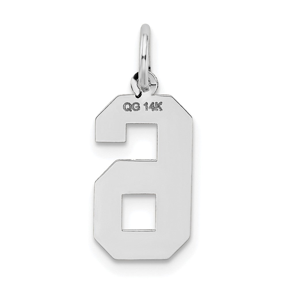 14kw Medium Satin Number 6 Charm
