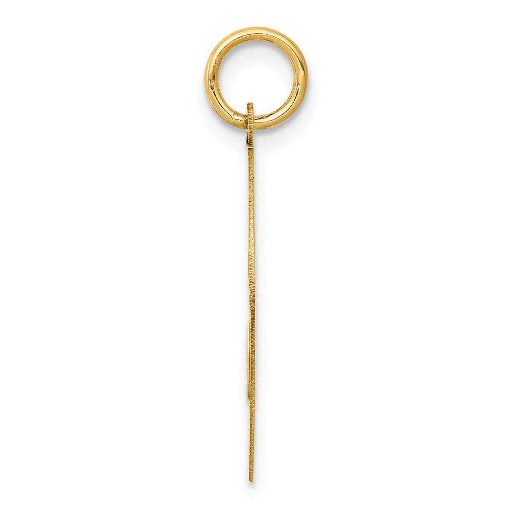 14k Yorkshire Terrier Disc Charm