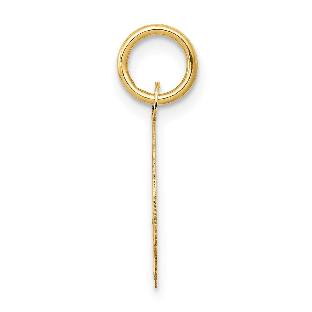 14k SWEET 16 Disc Charm