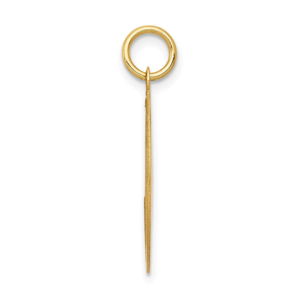 14k Labrador Retriever Disc Charm