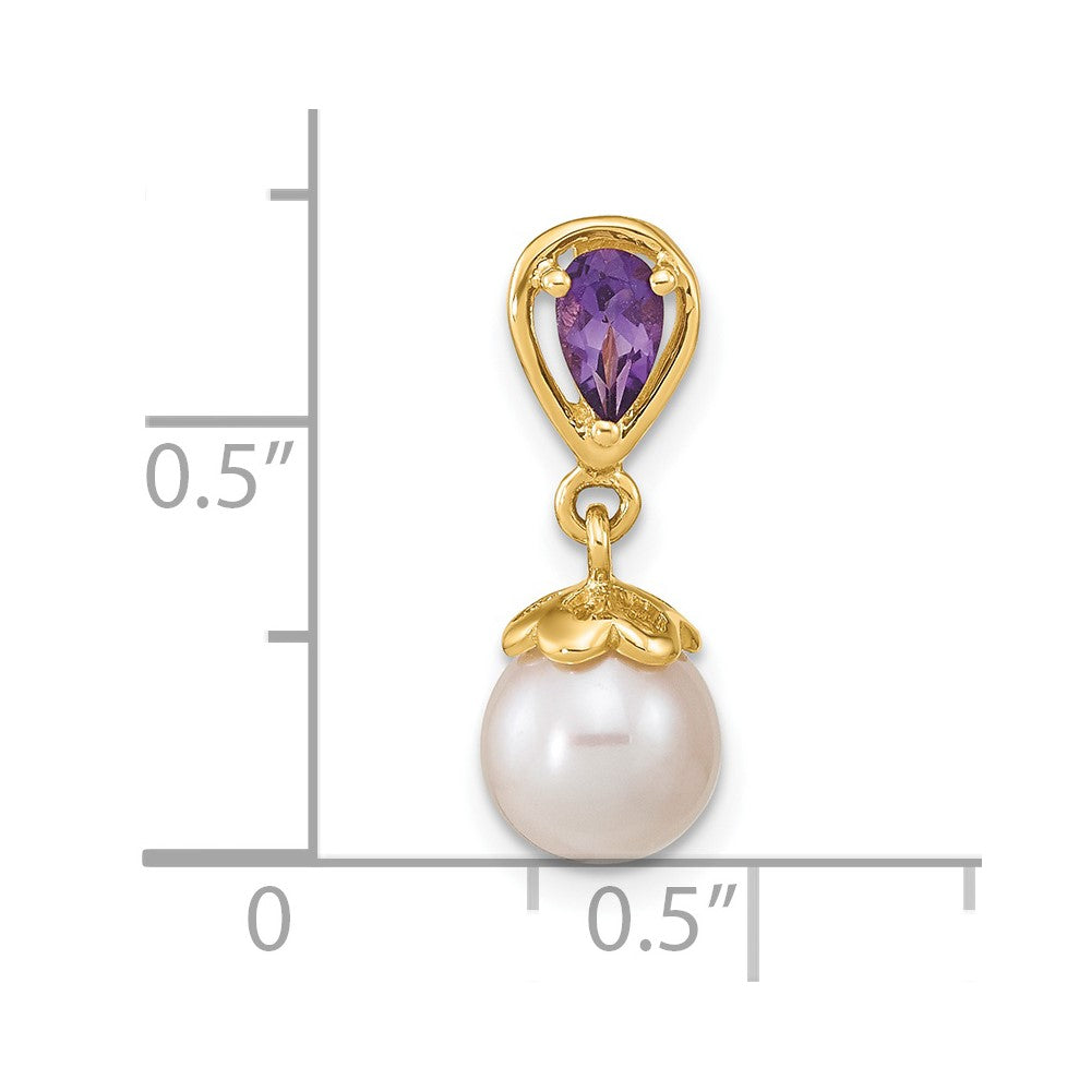 14K Gold w/ Amethyst & Freshwater Cultured Pearl Polished Chain Slide