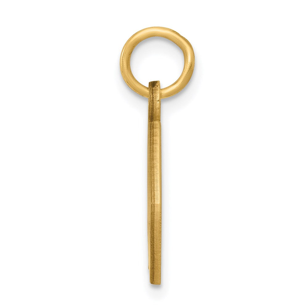 14k Non-enameled Medical Jewelry Pendant