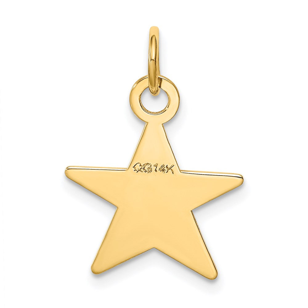 14K Star Disc Charm