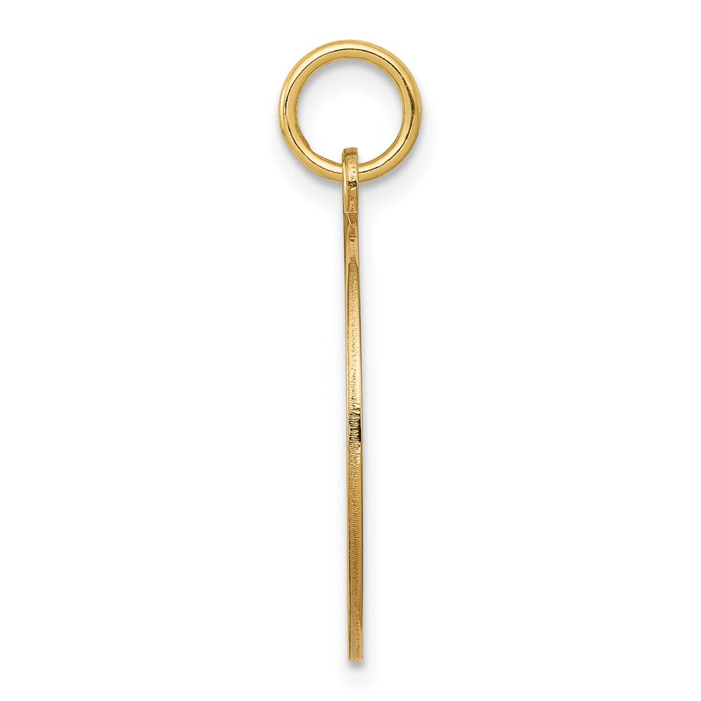 14k w/Enamel .027 Gauge Circular Engravable Disc Charm