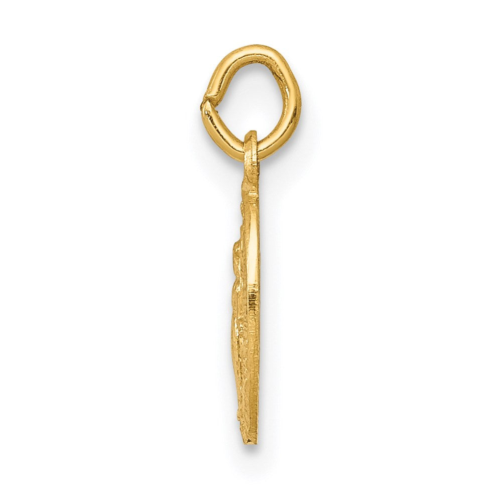 14k Miraculous Medal Charm