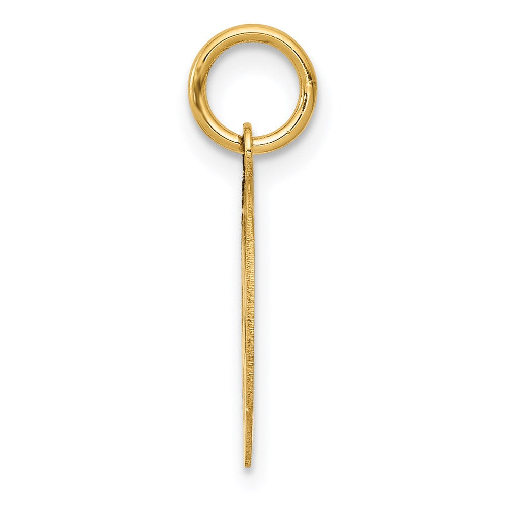 14k Small PARAMEDIC Medical Charm