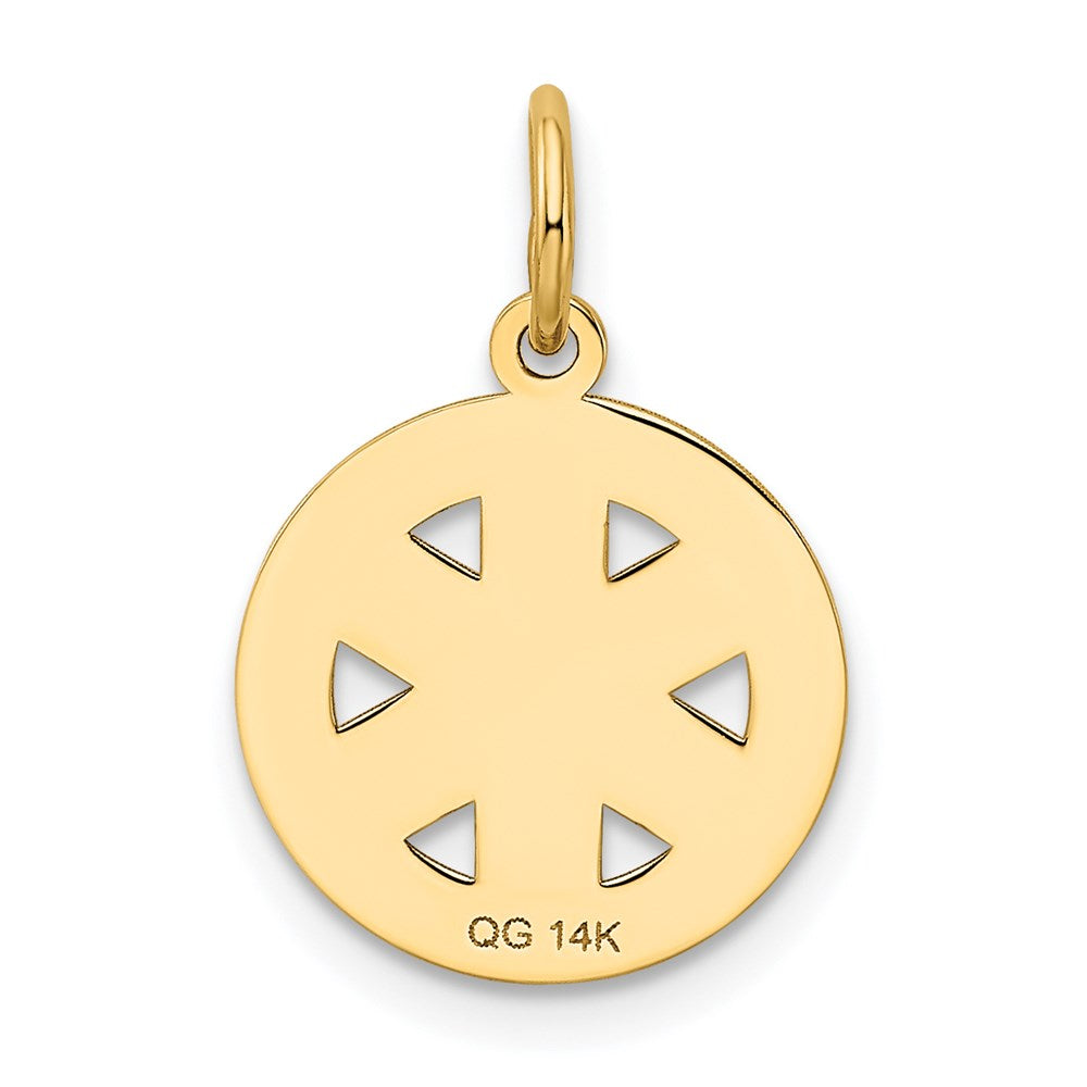 14k Small PARAMEDIC Medical Charm
