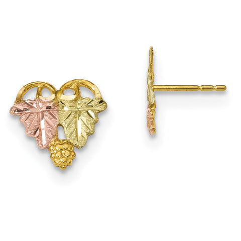 10k Tri-Color Black Hills Gold Post Earrings 10BH684 - shirin-diamonds