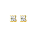 14kt Yellow Gold Womens Round Diamond Square-shape Cluster Stud Earrings 1/4 Cttw 39263 - shirin-diamonds