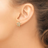 14K Lab Grown Diamond SI1/SI2, G H I, Star Post Earrings 0.51CTW