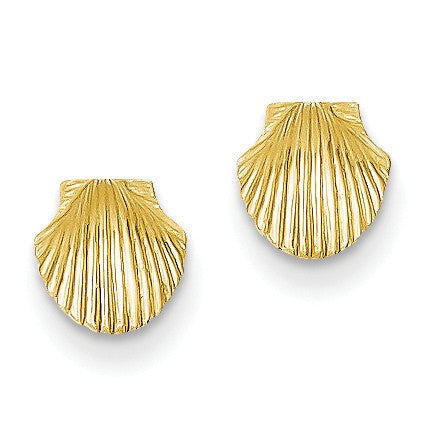 14k Mini Scallop Shell Post Earrings TE632 - shirin-diamonds