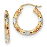 14k Tri-color Polished, Satin & D/C Hoop Earrings TF1018 - shirin-diamonds