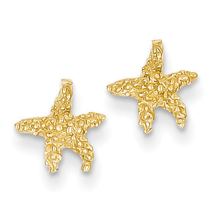 14k Polished & Textured Starfish Post Earrings TM765 - shirin-diamonds