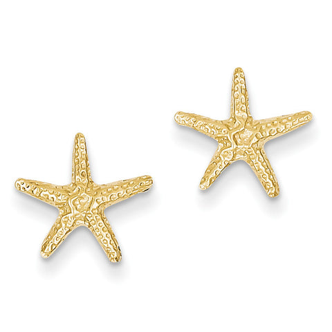 14k Starfish Post Earrings TM766 - shirin-diamonds