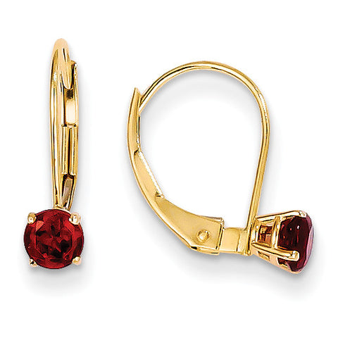 14k Garnet Earrings - January XBE73 - shirin-diamonds